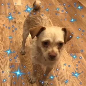 Meet your Posher, Carol